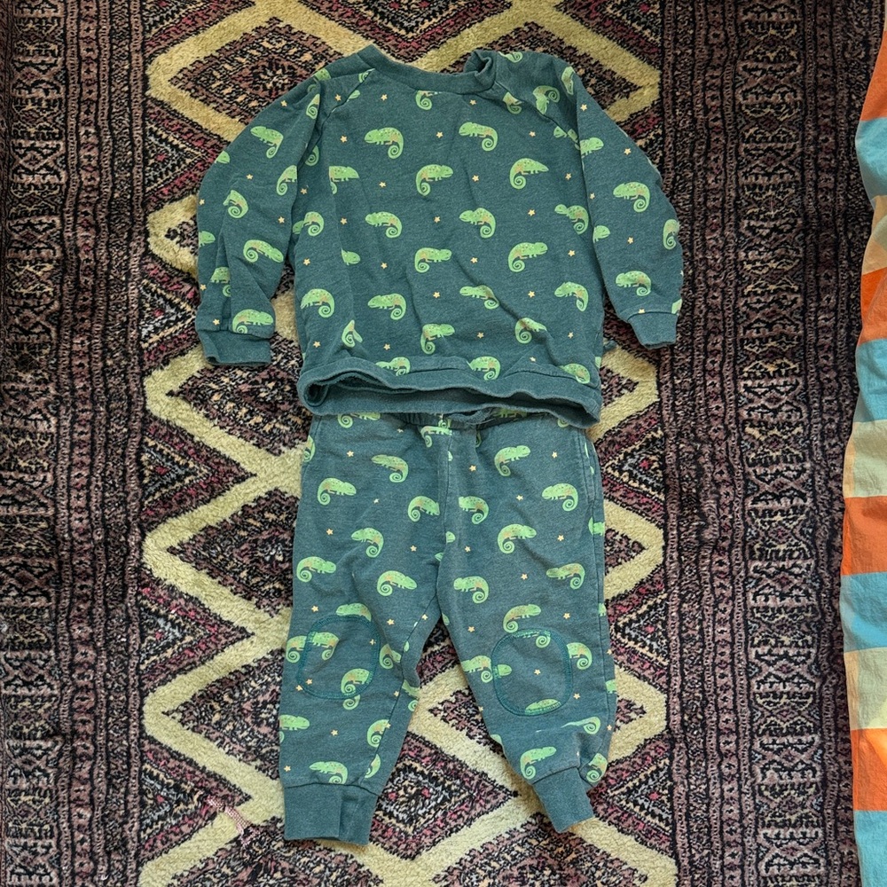 Little Green Radicals Iguana Sweatsuit set 2-3 years